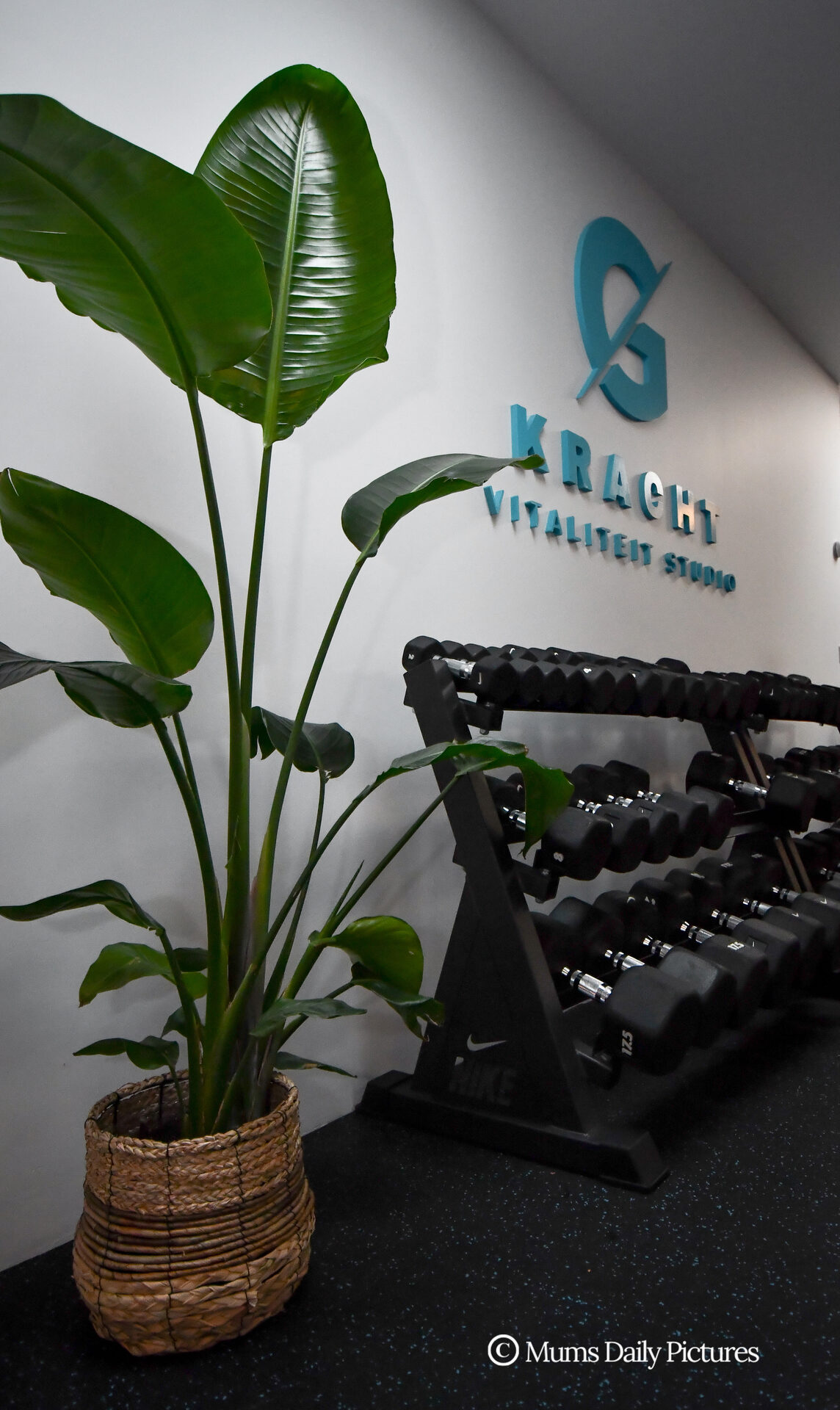 Sfeerbeeld Studio G Kracht in Bennebroek met logowand en dumbbell-rack